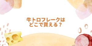 牛トロフレークはどこで買える？実店舗より通販が断然おすすめの理由